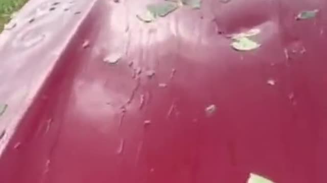 17 minutes of pure terror in Canada #hail #storm #weather