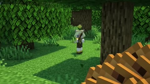 Minecraft 5