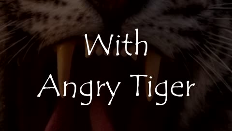 Tiger Rants