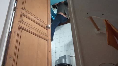 2022-11-28 (4.1) - Peut-être du rangement + catastrophe - Twitch Meutemediatiqueb