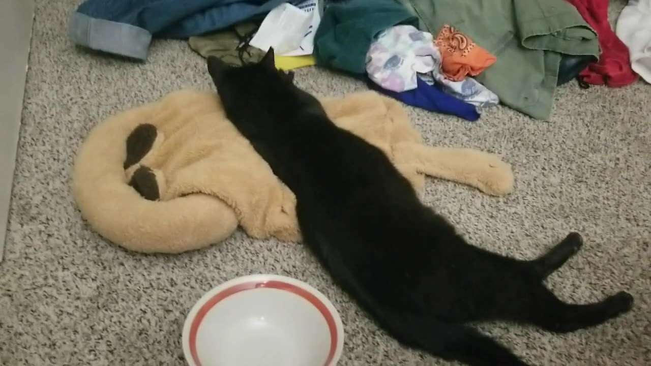 20240721 231328 Tux Kneading Pizza, and Reflecting