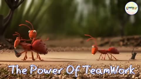 Leadership and team work