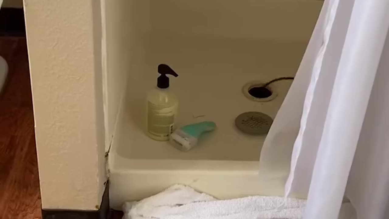 Metal rod pops out of shower drain 🫣