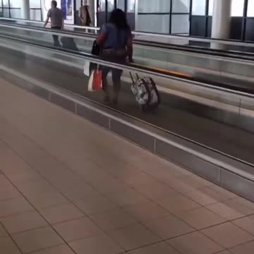 This Completely Explains White Privilege For All You Haters In Less Than 5 Seconds!!!