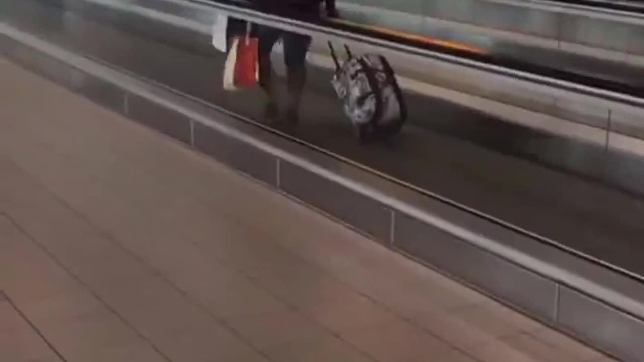 This Completely Explains White Privilege For All You Haters In Less Than 5 Seconds!!!