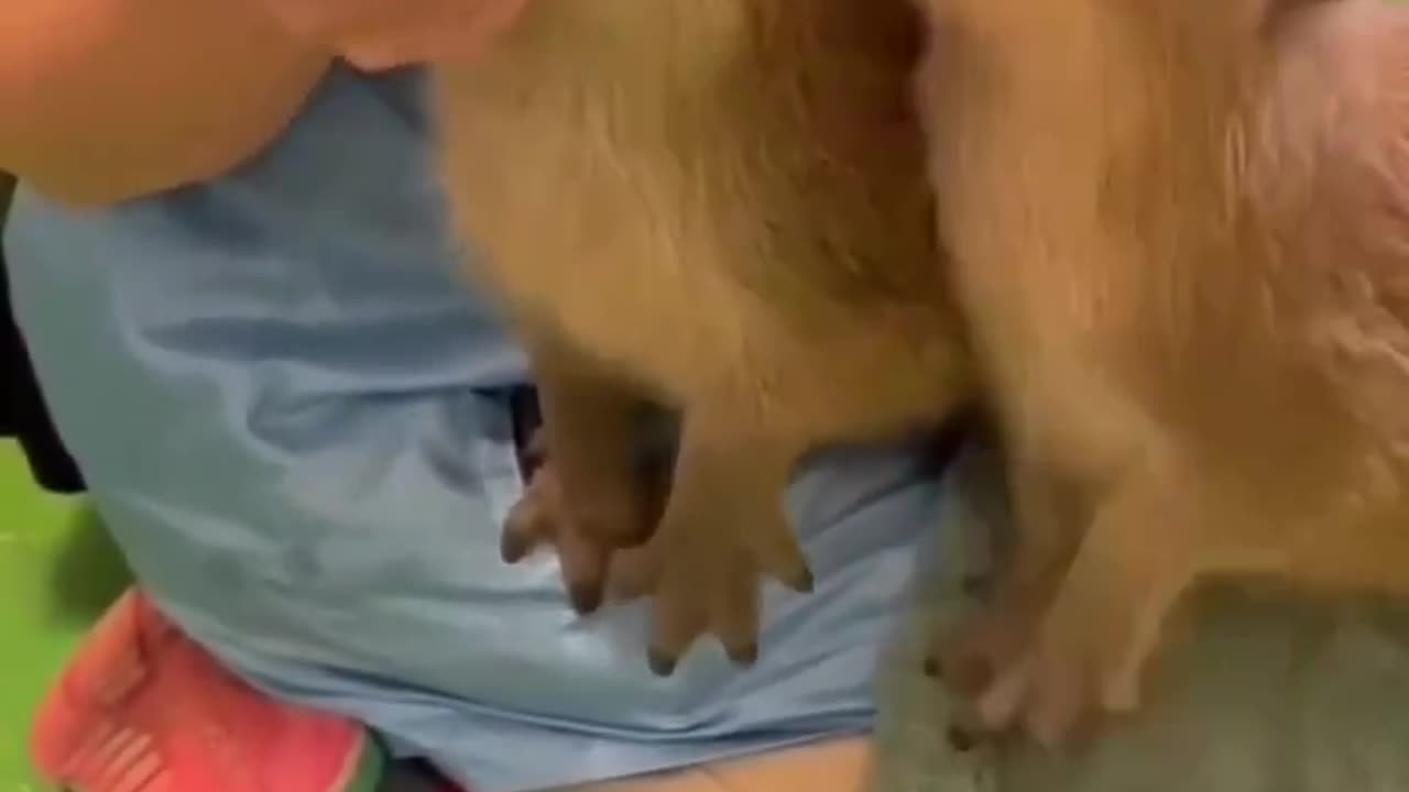 Let me have some 🤣