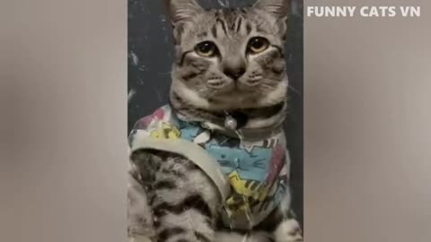 Most Viral Funny Animal Video