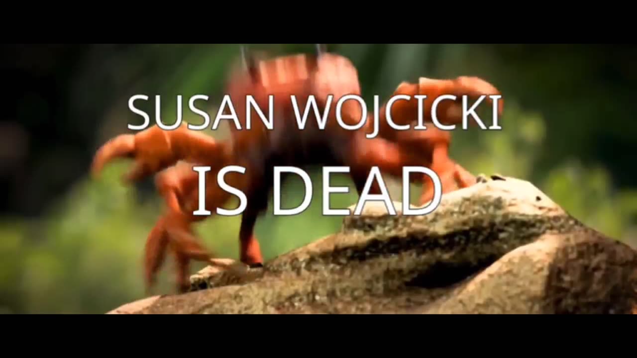 Susan Wojcicki is dead