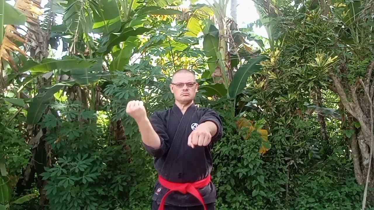 Demonstration of Classical Okinawan Martial Arts by Kevin Dewayne Hughes of the Tenkidokan