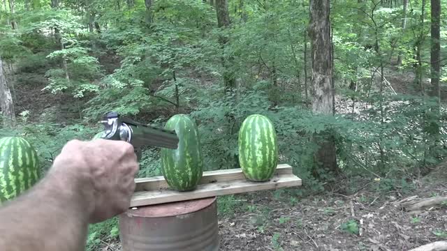 Colt Anaconda 44 Magnum VS Watermelons