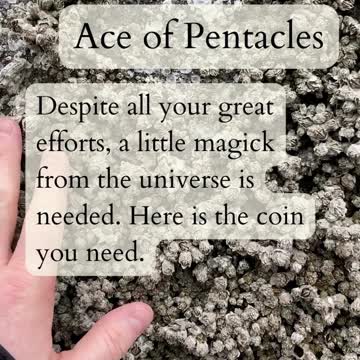 3 of Pentacles to Ace of Pentacles 2022-11-03