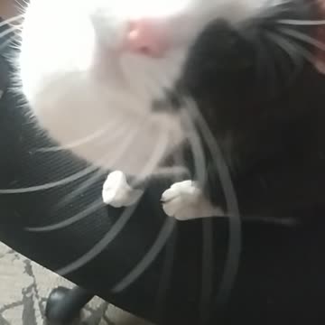 Gabriela like my room 😻😸