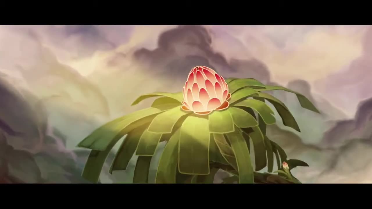 Seedling animation