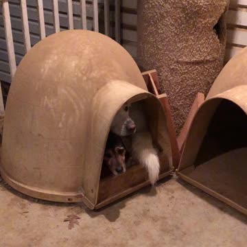 Where’s my Cheyenne