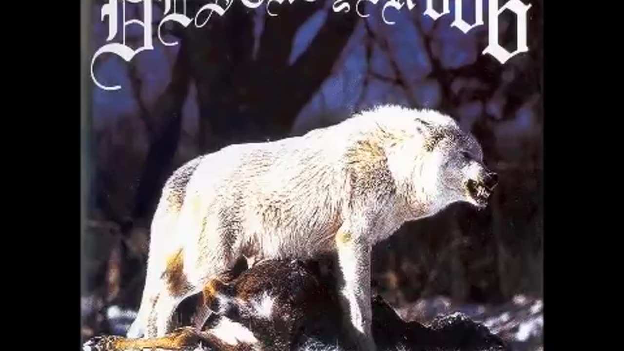 Deströyer 666 - Unchain the Wolves