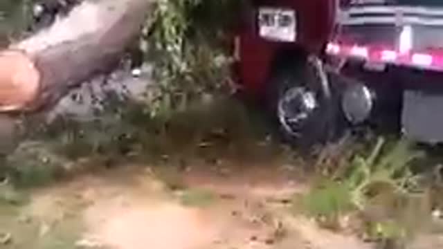 Árbol cayó sobre una turbo en la vía San Gil - Bucaramanga