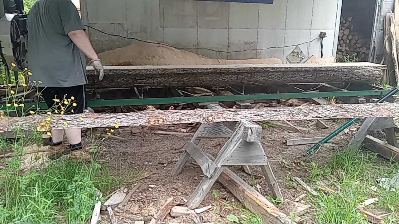 Sawing 17 foot spruce part 1