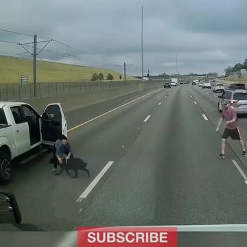 DOG JUMPS OUT OF CAR crash compilation,car crashes