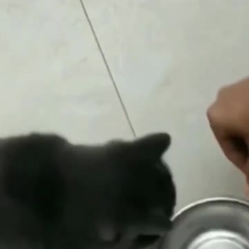 BEST FUNNIEST MOMENT 😆😆😆