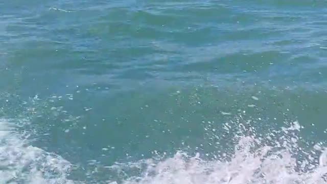 Record life on board
