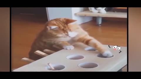 🐱 Funny Cat And Dog Videos - Try Not To Laugh 🐶😍🙉🙈🐱