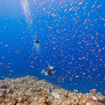 Fish with man deep sea.