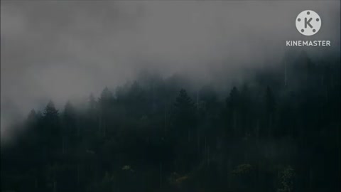 Relaxing Music | Sleeping, Meditation, Stress Relief | [6535] ⭐️