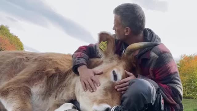 The owner is comfortable to touch