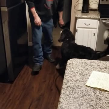 Roxy countersurfing clip 2