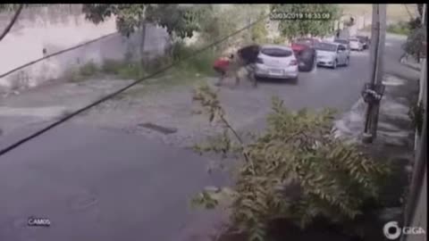 Attempted carjacking did't end well for criminals