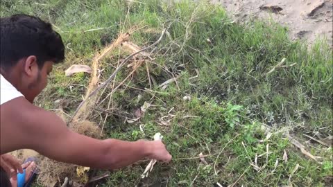 Snake Rescued From Tangled Mess