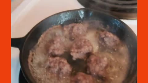 Mocha the muttt hamburger time!