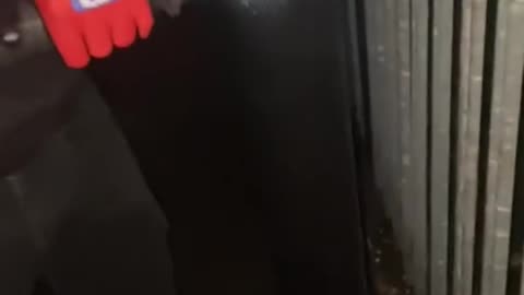 Matt...