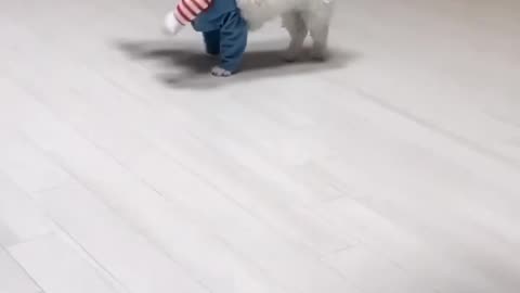 Fanny dog style video 🤣