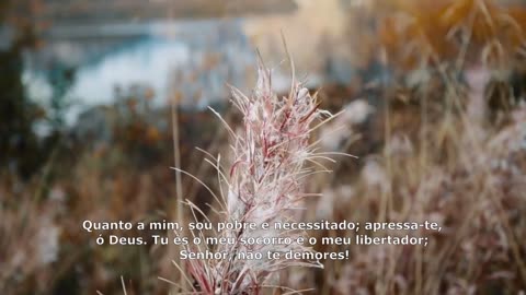 SALMOS 70