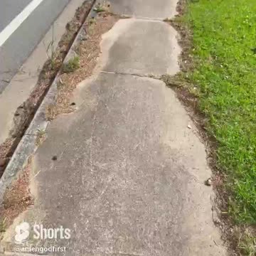 Speed walk today #shorts