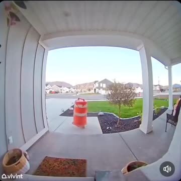 PACKAGE THIEF... CAUGHT??