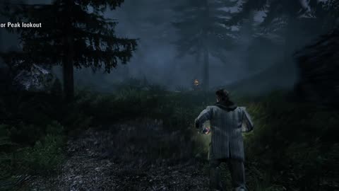 Weird Animation - Alan Wake (PC)