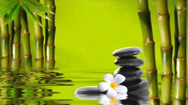 WATER SOUNDS RELAXING no Copyright