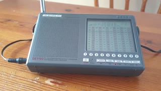 Degen DE-1103 - E07 English Man 08/10/2022 1410 UTC 15849kHz