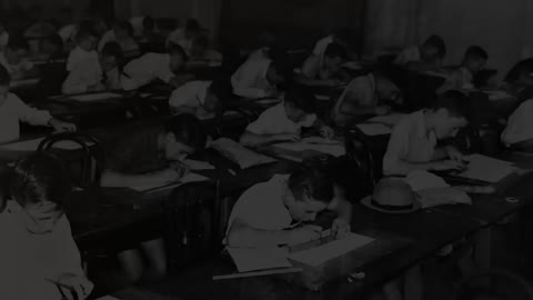 Why Public Schools and the Mainstream Media Dumb Us Down