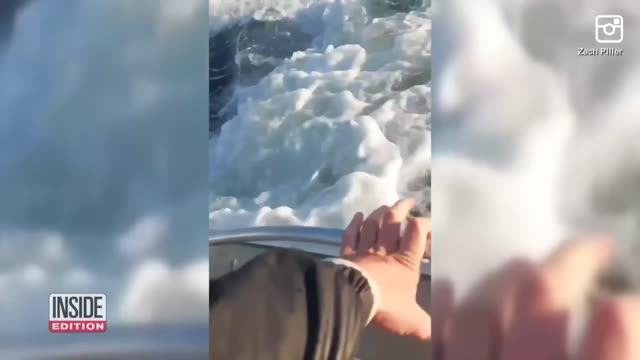 Whale Jumps Out of Water and Shocks Father and Son