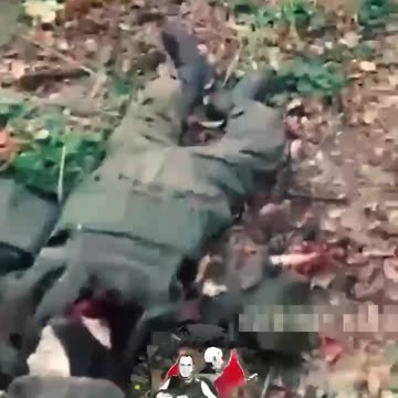 18+ Viewer Discretion Advised: Cleaning up the positions of the AFU