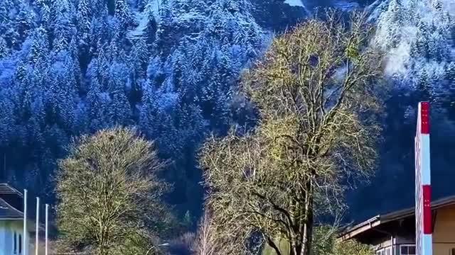 Scenery on Swiss Roads