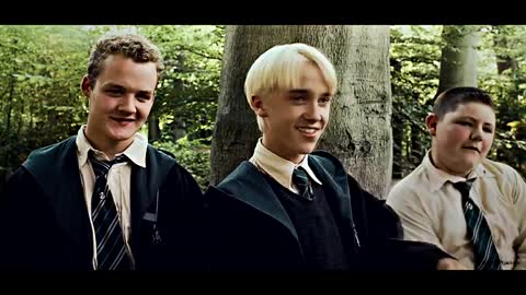 Draco & Harry Armor