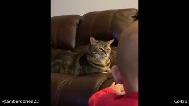 Cat Gets Annoyed by Baby