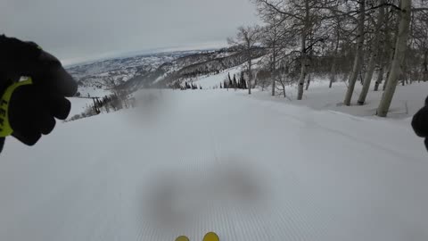 3/4 2nd run down Illusion