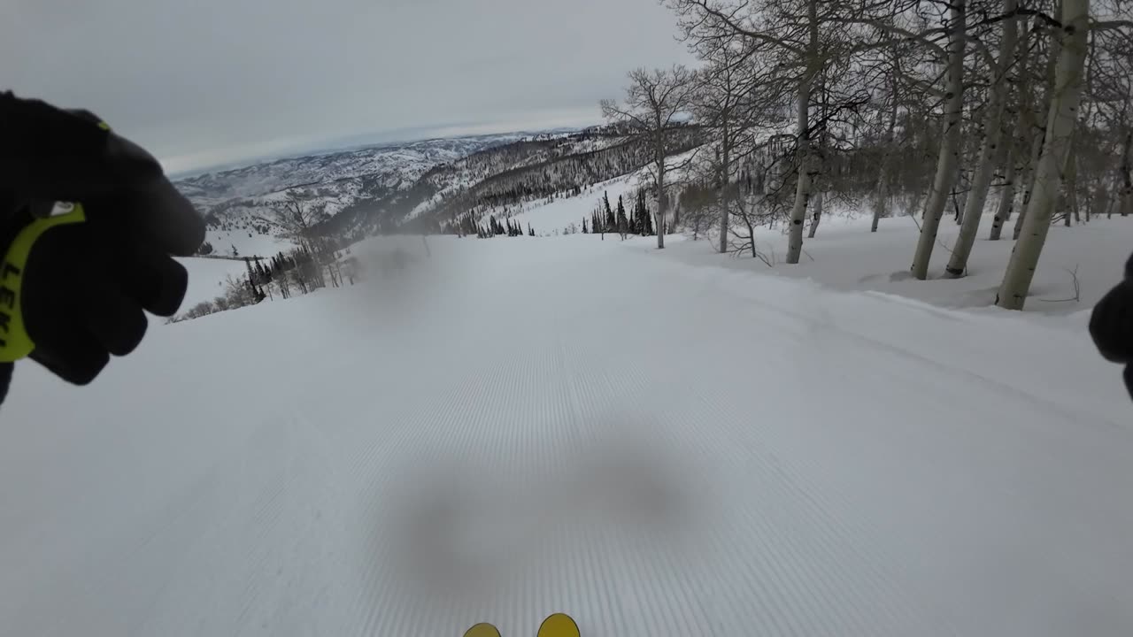 3/4 2nd run down Illusion