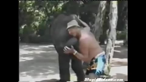 Funny Video Part 4