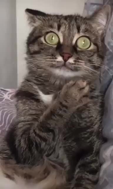 Baerbocks verbale Ergüsse